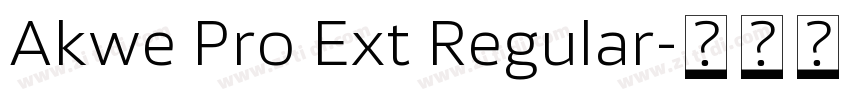 Akwe Pro Ext Regular字体转换
